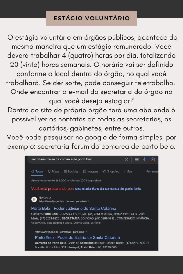 Livro Digital - Dicas de como conseguir um estágio no judiciário - Imagem 4