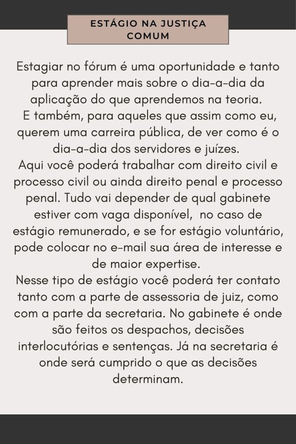 Livro Digital - Dicas de como conseguir um estágio no judiciário - Imagem 6